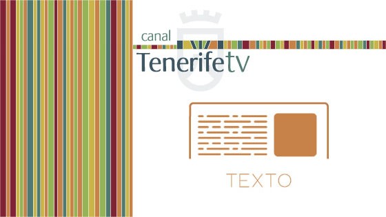 Imagen de Actas del Cabildo Insular de Tenerife - Libro 172 2006