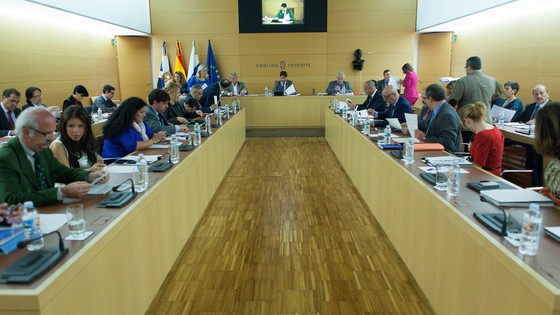 Imagen de Pleno ordinario del Cabildo de Tenerife, 24 de abril de 2015