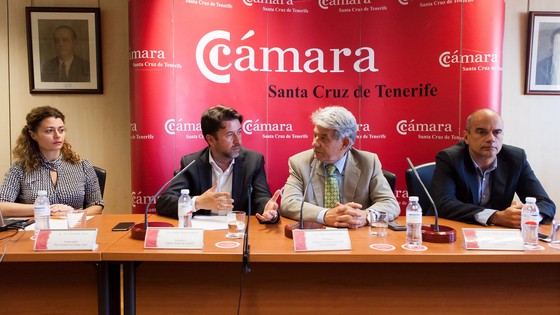 Imagen de El Cabildo y la Cámara ponen en marcha el Programa Local de Apoyo al Empleo