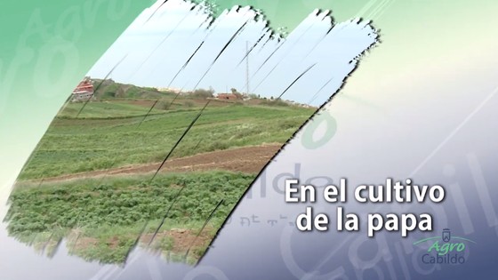 Imagen de Agrocabildo Semanal 05 de Junio de 2015