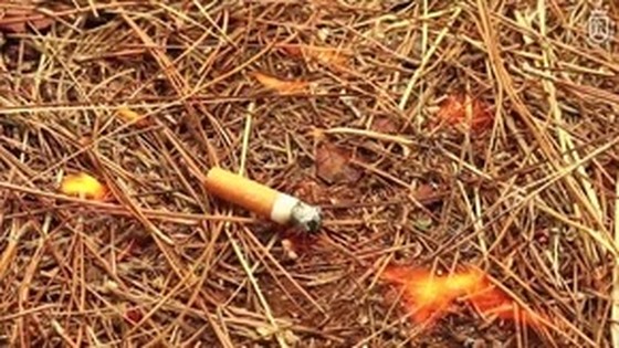 Imagen de Campaña de prevención de incendios forestales