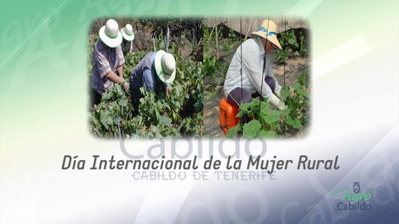 Imagen de Agrocabildo Semanal 16 de Octubre de 2015