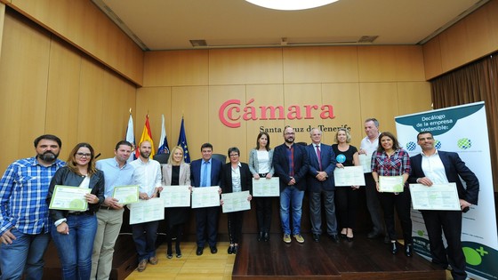 Imagen de El Cabildo y la Cámara de Comercio de Santa Cruz distinguen a 22 empresas sostenibles