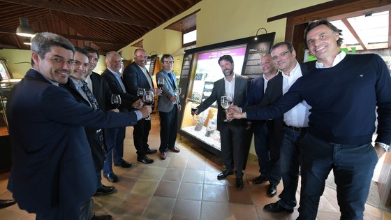 Imagen de El Cabildo moderniza el museo de la Casa del Vino de Tenerife