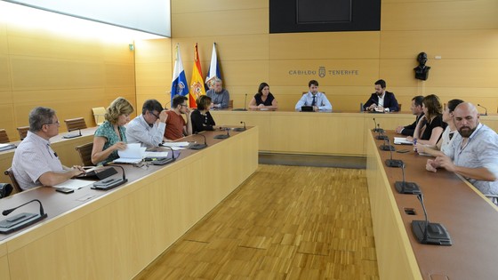 Imagen de El Cabildo crea una unidad técnica dedicada al Proyecto del Muelle y Parque Marítimo de Puerto de la Cruz