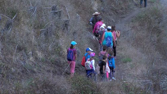 Imagen de El Cabildo celebró en el macizo de Anaga un encuentro entre mayores y escolares en homenaje a la mujer rural