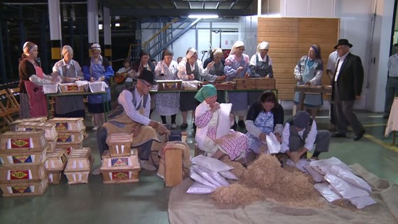 Imagen de  Tenerife conmemora el 130 aniversario del cultivo de tomate de exportación en Canarias