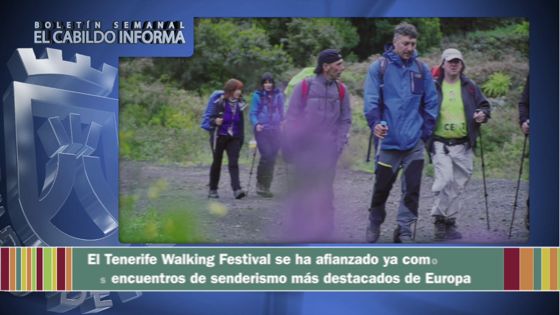 Imagen de Boletín Informativo Semanal