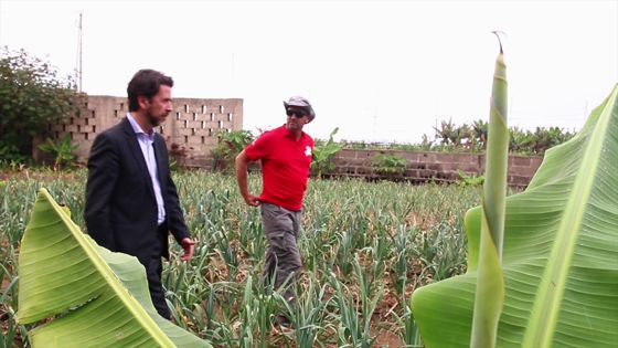 Imagen de El Cabildo destina 300.000 euros para preparar a personas desempleadas en agricultura ecológica