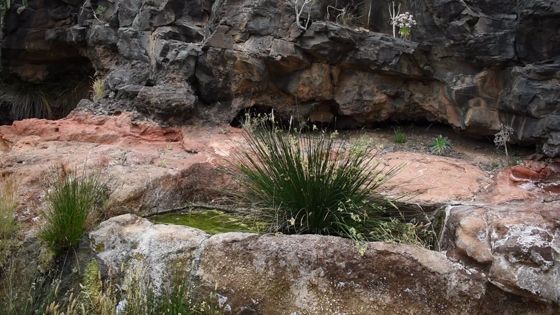 Imagen de Patrimonio etnográfico vinculado al mundo rural - Las Fuentes y chorros