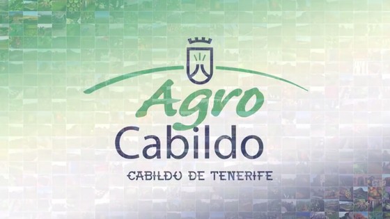 Imagen de Agrocabildo Semanal 3 de noviembre de 2017