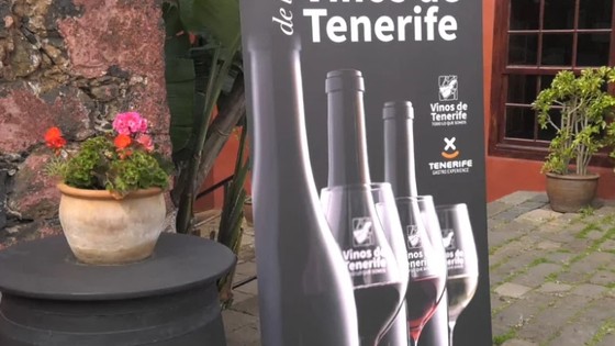Imagen de Más 150 profesionales participan en la primera Galería de los Vinos de Tenerife