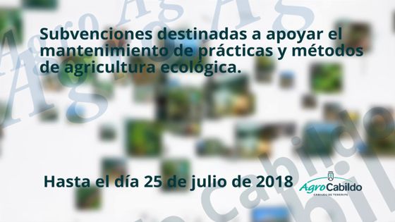 Imagen de Agrocabildo Semanal 29 de junio de 2018