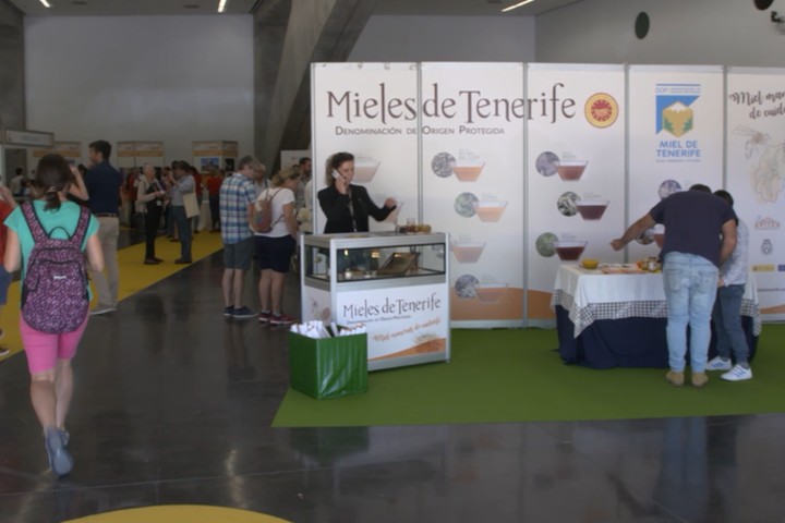 Imagen de Más de 2.200 escolares participan en el concurso de dibujo sobre la miel de Tenerife