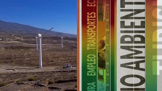 Imagen de Boletín Informativo, 25 de enero de 2019