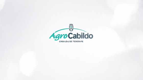 Imagen de Agrocabildo Semanal 25 de enero de 2019