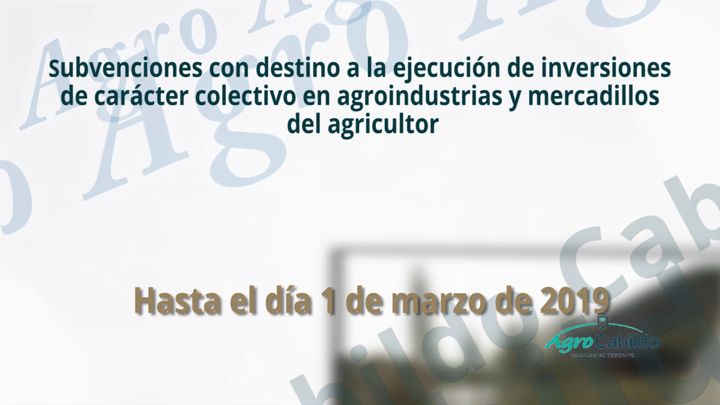 Imagen de Agrocabildo Semanal 1 de febrero de 2019