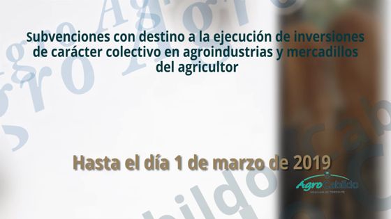 Imagen de Agrocabildo Semanal 8 de febrero de 2019