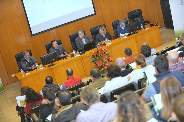 Imagen de Cabildo y Gobierno de Canarias reivindican en unas jornadas el potencial del cultivo del aguacate