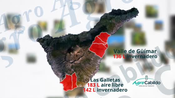 Imagen de Agrocabildo Semanal 16 de agosto de 2019