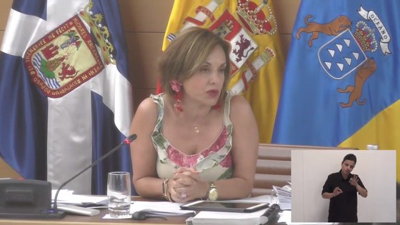 Imagen de Pleno extraordinario del Cabildo de Tenerife, 04 de octubre de 2019