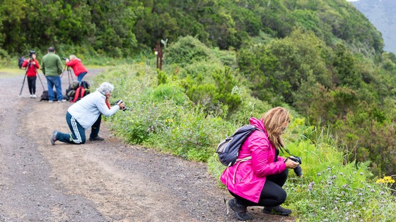 Imagen de El Museo de Naturaleza y Arqueología organiza una quedada fotográfica en el Parque Rural de Teno