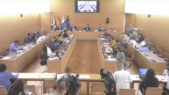 Imagen de Pleno extraordinario del Cabildo de Tenerife - Notificación automática, 04 de febrero de 2020