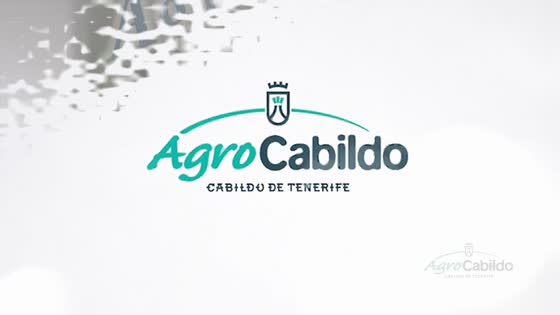 Imagen de Agrocabildo Semanal 21 de febrero de 2020