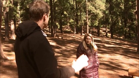 Imagen de Trabajos de mejora en el área recreativa de Las Raíces