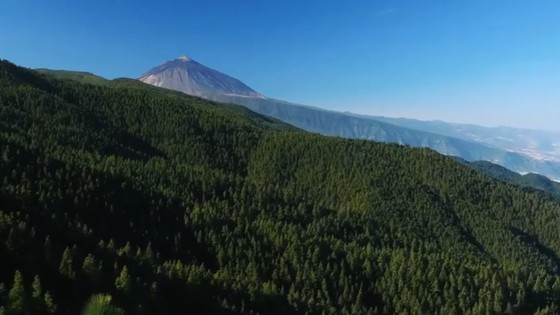 Imagen de 'Volveremos'. Campaña turística de Turismo de Tenerife. Vídeo promocional