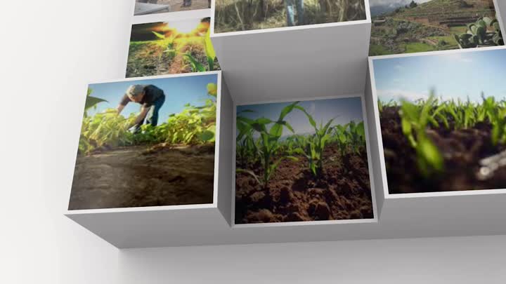 Imagen de Agrocabildo Semanal 11 de junio de 2020