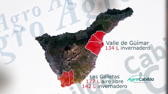 Imagen de Agrocabildo Semanal 17 de septiembre de 2020