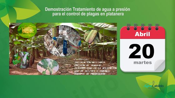 Imagen de Agrocabildo Semanal 15 de abril de 2021