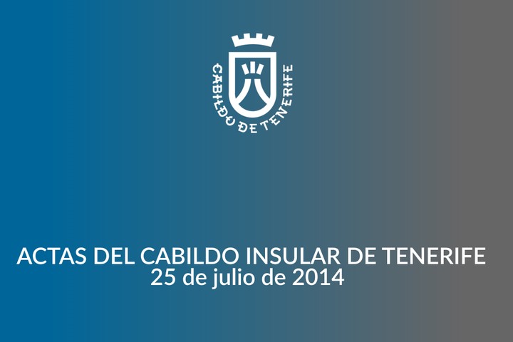 Imagen de  Acta del pleno ordinario del Cabildo de Tenerife, 25 de julio de 2014