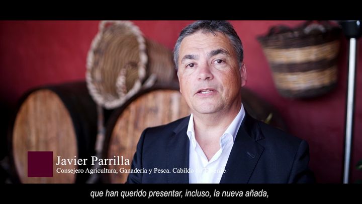 Imagen de El Cabildo reúne en unas jornadas a más de 30 bodegas y comercializadoras para propiciar la creación de alianzas