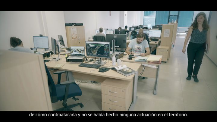 Imagen de Especialistas de todo el mundo comparten en Tenerife estrategias contra la termita subterránea
