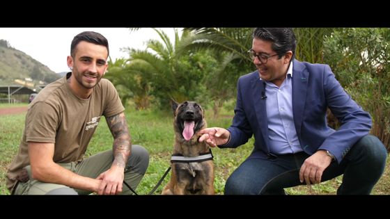 Imagen de La Unidad Canina del Cabildo identificará venenos en los espacios naturales protegidos