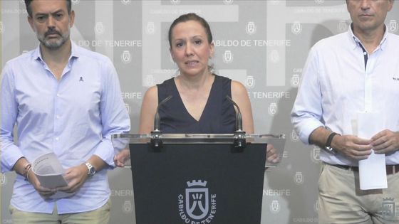 Imagen de El Cabildo inicia el procedimiento para la declaración de Tenerife como zona catastrófica por el incendio