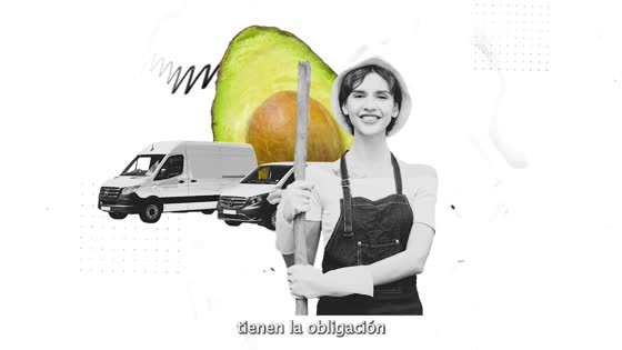 Imagen de SPOT promocional de la campaña Aguacates de Tenerife