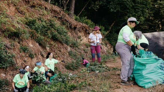 Imagen de El Cabildo organiza 15 talleres de voluntariado ambiental en seis municipios