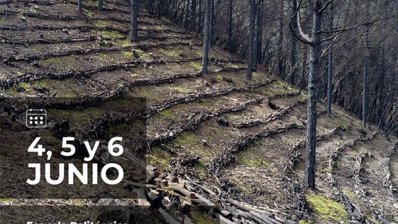 Imagen de El Cabildo congregará a una treintena de expertos en las Jornadas Forestales de Tenerife