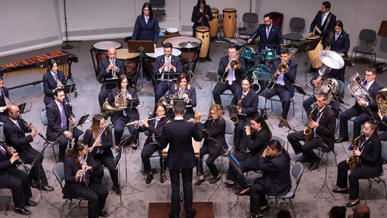 Imagen de Las bandas de música ofrecen este domingo un nuevo concierto en el Auditorio de Tenerife