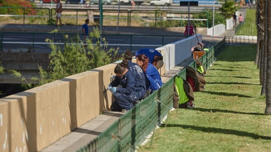 Imagen de Tenerife genera el 45 por ciento de los nuevos contratos realizados en Canarias 