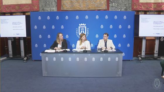 Imagen de El Cabildo presenta la primera estrategia para la inclusión social y comunitaria de personas en situación de sinhogarismo