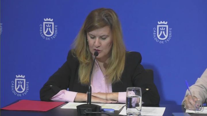 Imagen de El Cabildo elabora un diagnóstico sobre la situación de las ciberviolencias de género en Tenerife