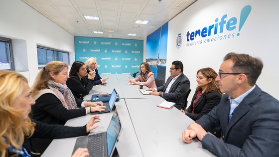 Imagen de Fitur confirma para Tenerife las excelentes perspectivas en el mercado nacional durante 2025