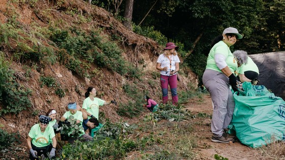 Imagen de El Cabildo potencia la conservación de los espacios naturales de El Rosario y Tacoronte