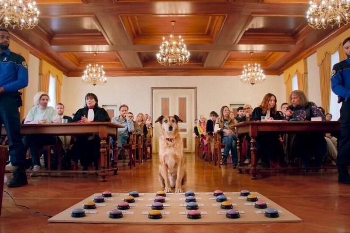 Imagen de TEA proyecta ‘El juicio del perro’, una sátira sobre la relación entre los seres humanos y los animales