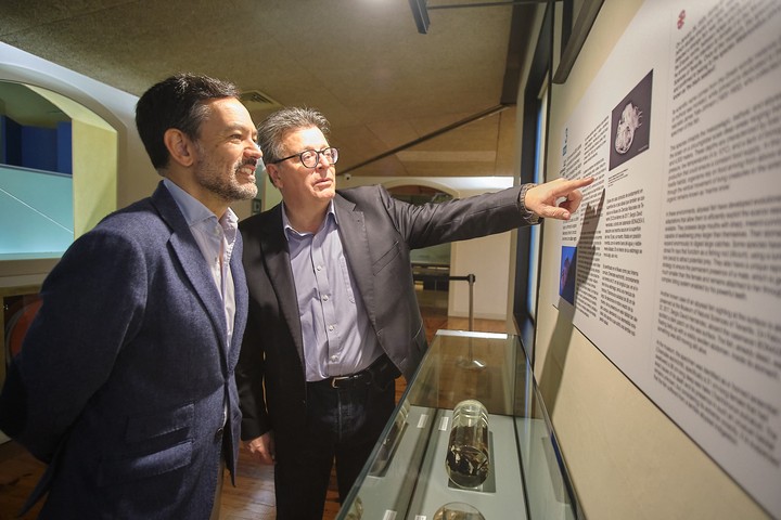 Imagen de El extraordinario pez ‘Diablo negro’ protagoniza un nuevo ámbito expositivo en el área de biología marina del MUNA