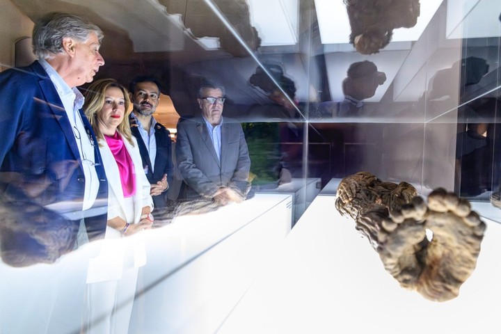 Imagen de El Cabildo exige el regreso inmediato de la momia guanche tras su retirada del Museo Arqueológico Nacional y su traslado a un almacén